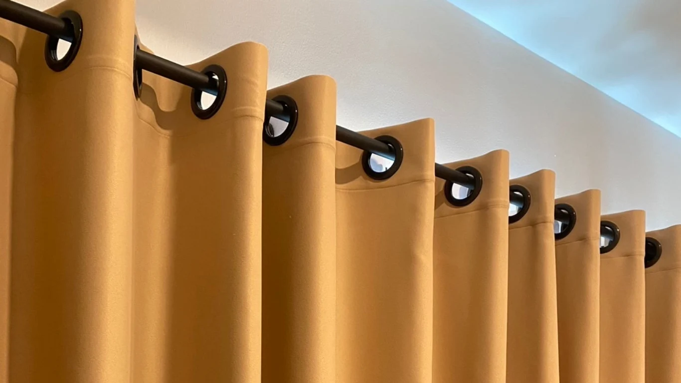 ม่านตาไก่